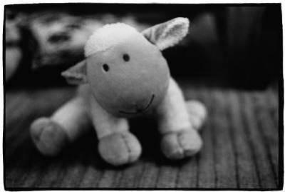piti mouton....